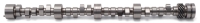 EDE Rollin Thunder Camshaft