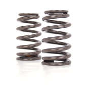 CCA Valve Spring Sets