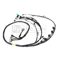 RYW Budget Engine Harnesses