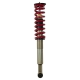 BT Coilover Kit w Shocks