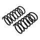 ARB OME Coil Springs