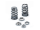 SPT Beehive Valve Spring Kits