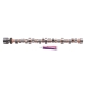 EDE Rollin Thunder Camshaft