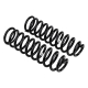 ARB OME Coil Springs