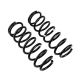 ARB OME Coil Springs