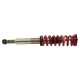 BT Coilover Kit w Shocks